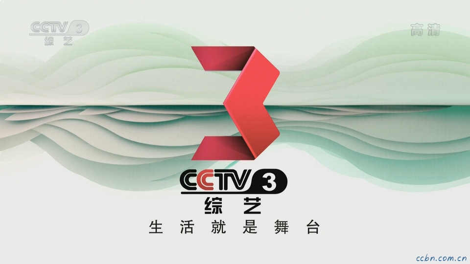 cctv3.jpg